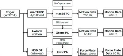 Identification of Human Walking Balance Controller Based on COM-ZMP Model of Humanoid Robot